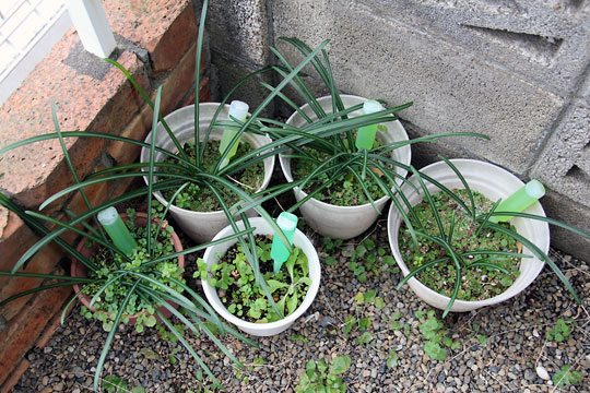 f:id:takahikonojima:20150122125309j:plain