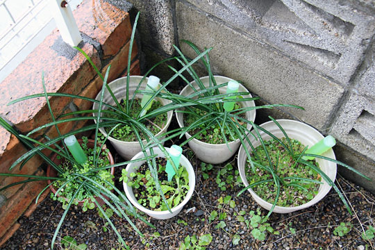 f:id:takahikonojima:20150122125314j:plain