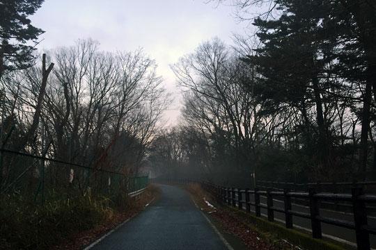 f:id:takahikonojima:20150208214332j:plain f:id:takahikonojima:20150208214332j:plain