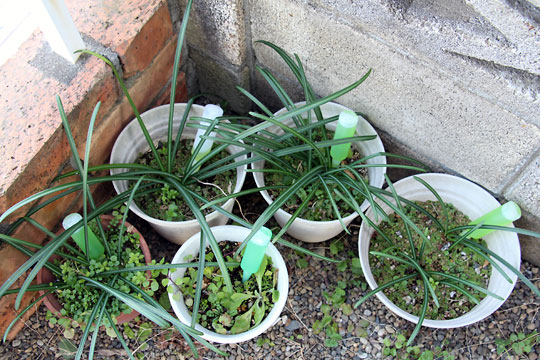 f:id:takahikonojima:20150221122148j:plain