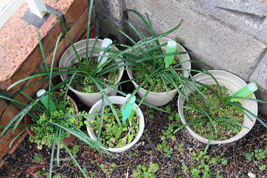 f:id:takahikonojima:20150221122154j:plain