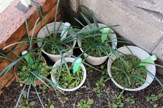 f:id:takahikonojima:20150221122206j:plain