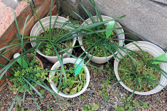 f:id:takahikonojima:20150222133252j:plain