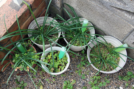 f:id:takahikonojima:20150308015509j:plain f:id:takahikonojima:20150308015509j:plain