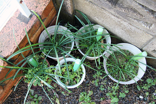 f:id:takahikonojima:20150308015515j:plain f:id:takahikonojima:20150308015515j:plain