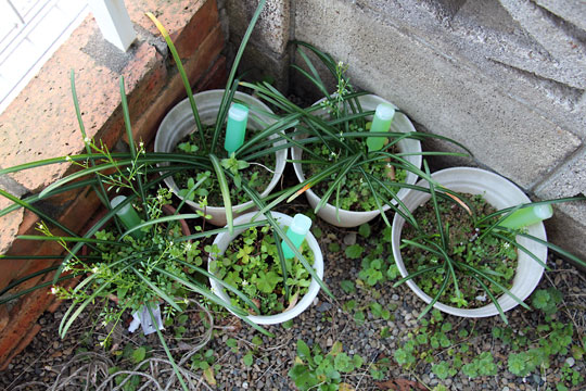 f:id:takahikonojima:20150328110453j:plain