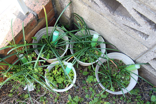 f:id:takahikonojima:20150328110510j:plain