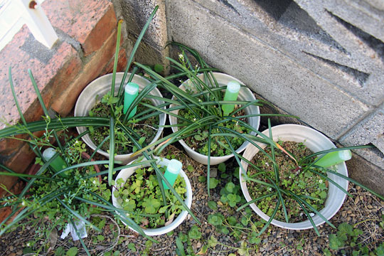 f:id:takahikonojima:20150328110533j:plain