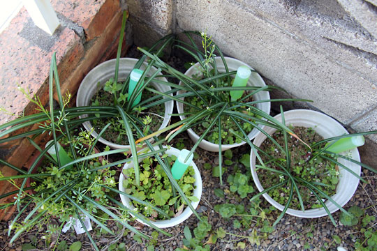 f:id:takahikonojima:20150328110547j:plain