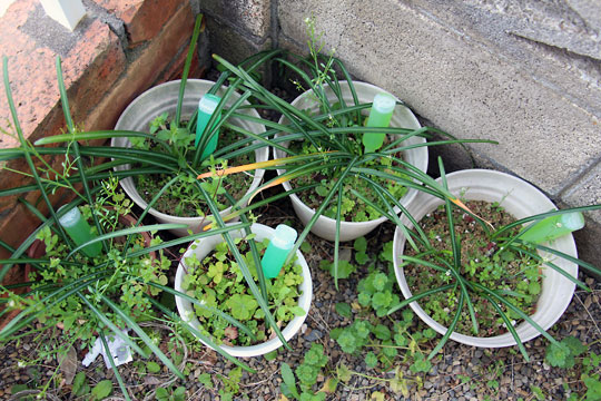 f:id:takahikonojima:20150328110556j:plain