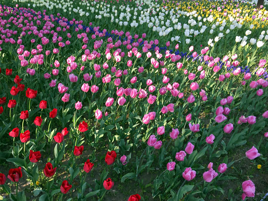 f:id:takahikonojima:20150401123742j:plain