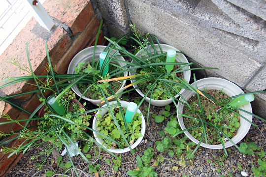 f:id:takahikonojima:20150404095143j:plain f:id:takahikonojima:20150404095143j:plain