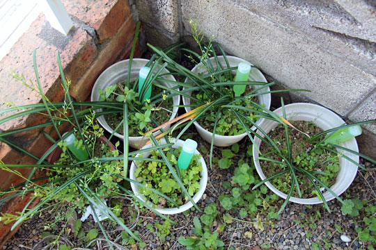 f:id:takahikonojima:20150404095148j:plain f:id:takahikonojima:20150404095148j:plain