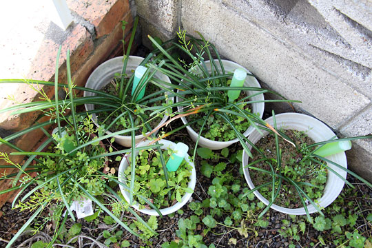 f:id:takahikonojima:20150404095204j:plain f:id:takahikonojima:20150404095204j:plain