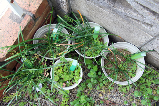 f:id:takahikonojima:20150404095215j:plain f:id:takahikonojima:20150404095215j:plain