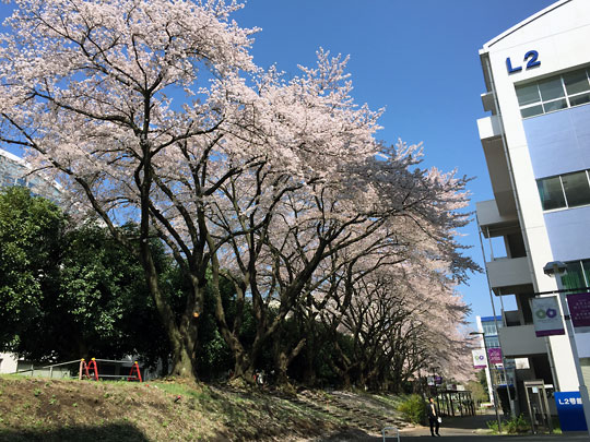 f:id:takahikonojima:20150407000406j:plain f:id:takahikonojima:20150407000406j:plain