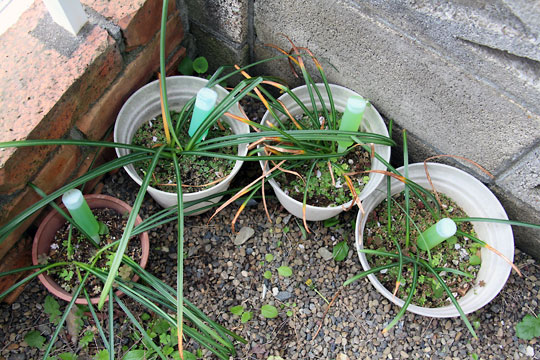 f:id:takahikonojima:20150427213558j:plain f:id:takahikonojima:20150427213558j:plain