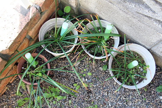 f:id:takahikonojima:20150427213609j:plain f:id:takahikonojima:20150427213609j:plain