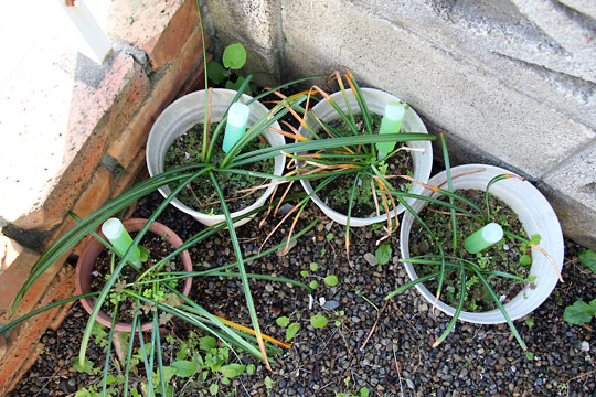 f:id:takahikonojima:20150427213614j:plain f:id:takahikonojima:20150427213614j:plain