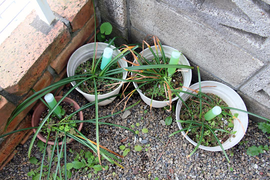 f:id:takahikonojima:20150427213620j:plain f:id:takahikonojima:20150427213620j:plain