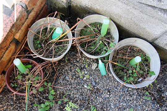 f:id:takahikonojima:20150516095324j:plain f:id:takahikonojima:20150516095324j:plain