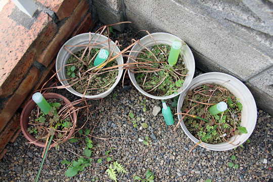 f:id:takahikonojima:20150516095329j:plain f:id:takahikonojima:20150516095329j:plain