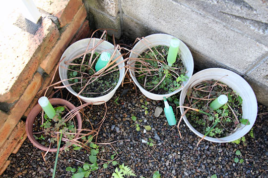 f:id:takahikonojima:20150516095335j:plain f:id:takahikonojima:20150516095335j:plain