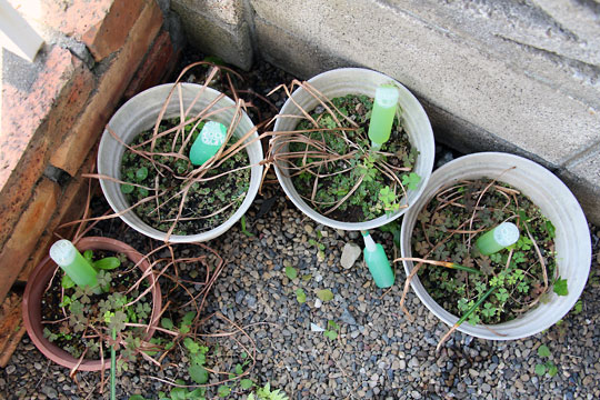 f:id:takahikonojima:20150516095346j:plain f:id:takahikonojima:20150516095346j:plain