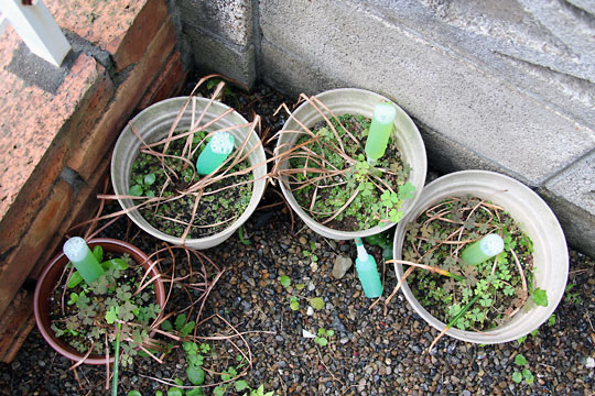 f:id:takahikonojima:20150516095351j:plain f:id:takahikonojima:20150516095351j:plain