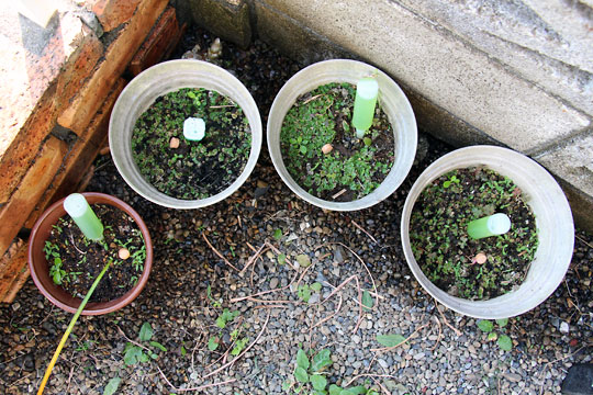 f:id:takahikonojima:20150530202412j:plain