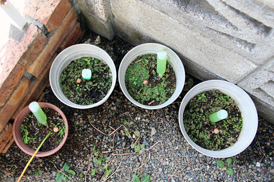 f:id:takahikonojima:20150530202417j:plain