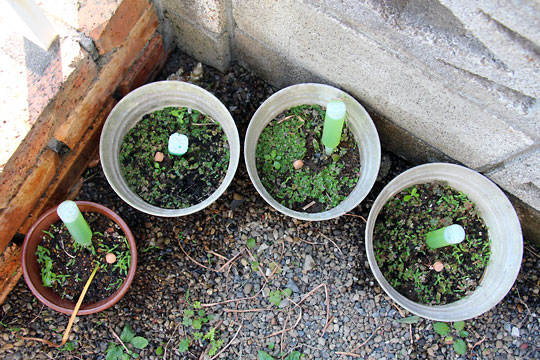 f:id:takahikonojima:20150530202423j:plain