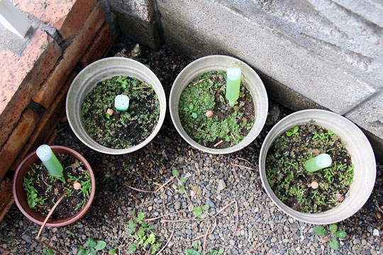 f:id:takahikonojima:20150530202434j:plain