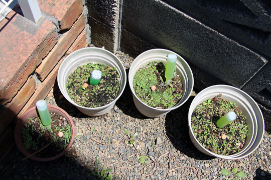 f:id:takahikonojima:20150530202439j:plain