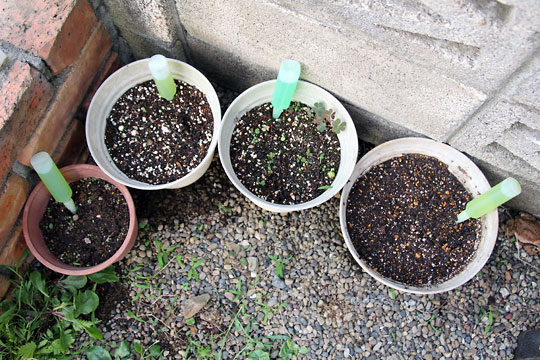 f:id:takahikonojima:20150620204459j:plain f:id:takahikonojima:20150620204459j:plain