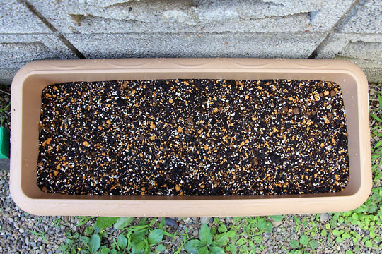 f:id:takahikonojima:20150704100107j:plain