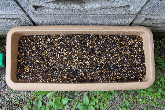 f:id:takahikonojima:20150704100125j:plain