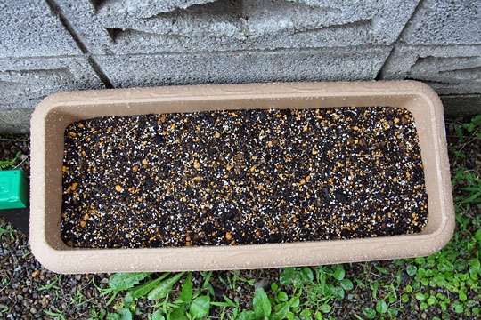 f:id:takahikonojima:20150704100152j:plain