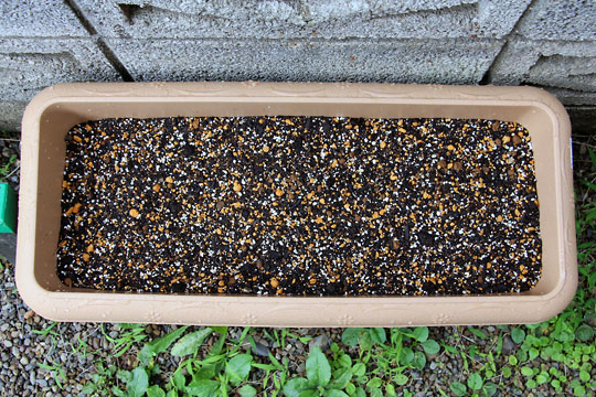 f:id:takahikonojima:20150704100205j:plain