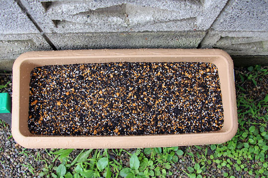 f:id:takahikonojima:20150704100229j:plain