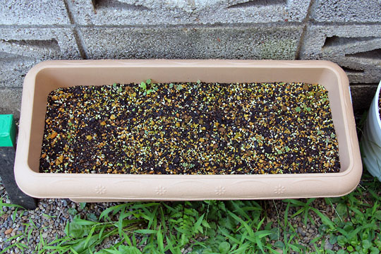 f:id:takahikonojima:20150725103608j:plain