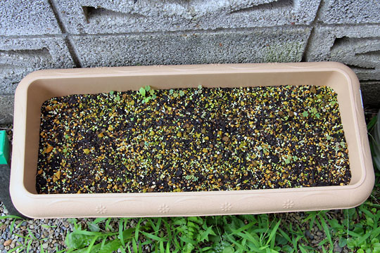 f:id:takahikonojima:20150725103622j:plain