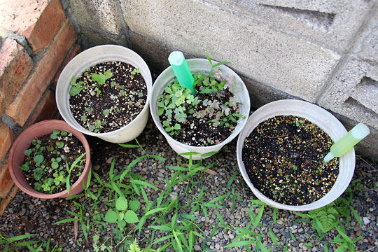 f:id:takahikonojima:20150725103629j:plain