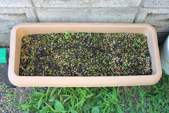 f:id:takahikonojima:20150725103650j:plain