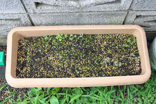 f:id:takahikonojima:20150725103705j:plain