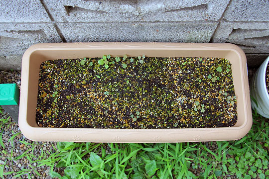 f:id:takahikonojima:20150725103719j:plain