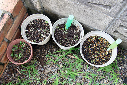 f:id:takahikonojima:20150725103725j:plain