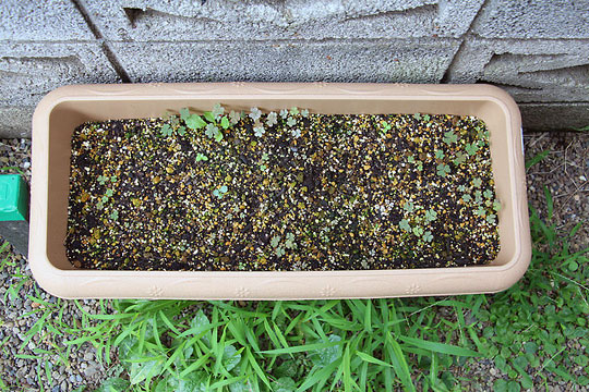 f:id:takahikonojima:20150806002805j:plain