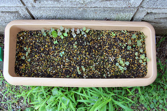 f:id:takahikonojima:20150806002850j:plain