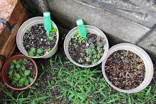 f:id:takahikonojima:20150822111055j:plain